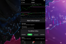 Load image into Gallery viewer, Devside Trading NinjaTrader Indicator alerts mobile app  details
